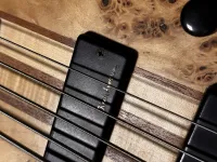 Woodo Custom Basszusgitár 5 húros - Viktor Vencel [2024.06.26. 10:37]