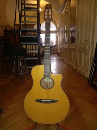 YAMAHA APX-5NA Electro-acoustic guitar - Mária [Yesterday, 4:11 pm]
