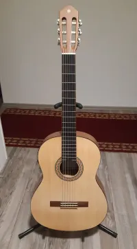 YAMAHA CG-TA TransAcustic