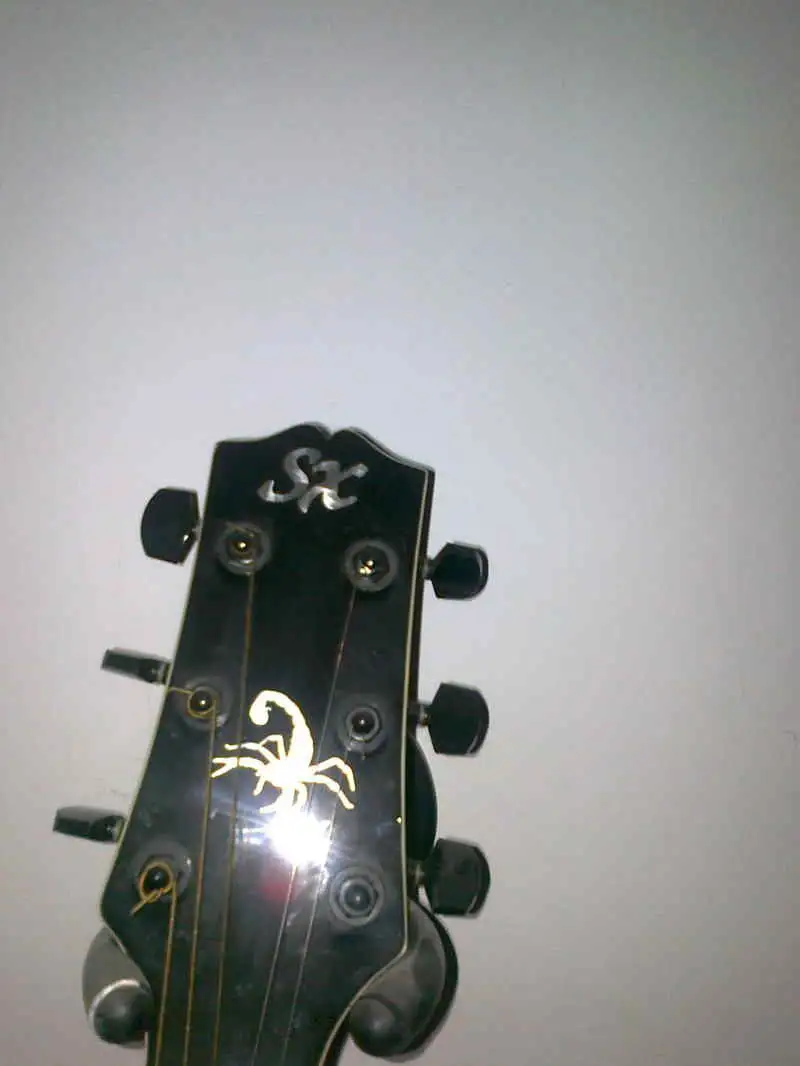 sx poison series acoustic guitar price