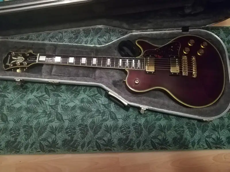 1978 ibanez pf200