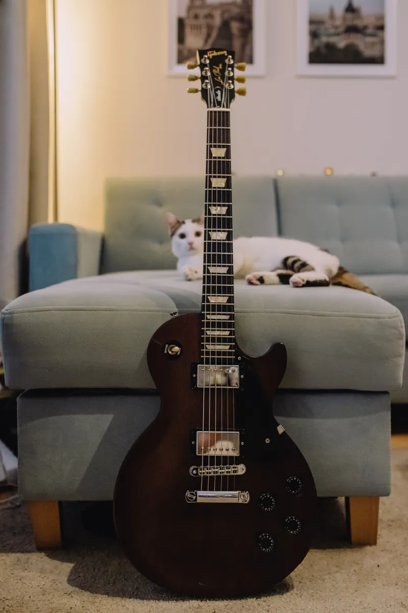 Gibson Les Paul Studio 2010 Elektromos gitár