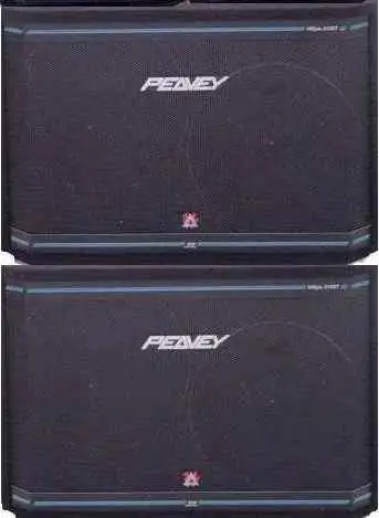 Peavey hisys best sale