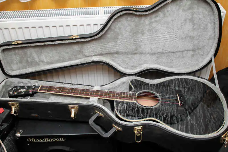 Ibanez aeg25e online