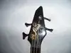 Flash PJ Bass Gitarre [July 29, 2011, 6:34 pm]