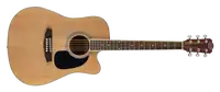 Jack and Danny Brothers D-60 Dreadnought Akustikgitarre [January 24, 2024, 12:32 pm]