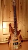 Jack and Danny Brothers RM-5 Bass guitar 5 strings [June 20, 2016, 6:36 pm]