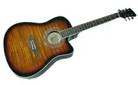 Santander WS65 Dreadnought Electro-acoustic guitar [May 2, 2020, 4:24 pm]