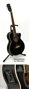 TS-Fidelity 45701 Western Electro-acoustic guitar [August 7, 2011, 1:09 pm]