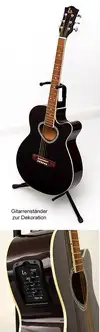 TS-Fidelity 4520 Western Electro-acoustic guitar [August 7, 2011, 1:19 pm]