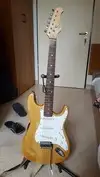 Dimavery Stratocaster Electric guitar [October 18, 2016, 12:38 pm]