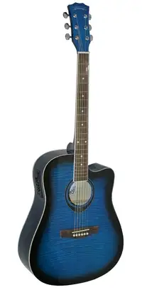 Santander WS60 Electro-acoustic guitar [September 23, 2019, 4:34 pm]