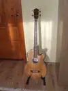 Oscar Schmidt OB100 Electro Acoustic Bass [January 11, 2017, 6:47 pm]