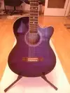 TS-Fidelity  Electro-acoustic guitar [January 14, 2017, 12:28 pm]