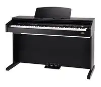 Classic Cantabile DP-210 RH Elektrické piano [January 24, 2024, 3:48 pm]