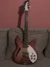 AcePro  Electric guitar [February 5, 2017, 8:02 pm]
