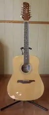 Guvnor GA500T Acoustic guitar 12 strings [February 10, 2017, 4:02 pm]