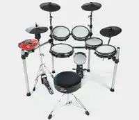 FAME DD-One Electric drum [November 21, 2020, 10:54 am]