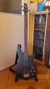 Jack and Danny Brothers YC-200 Bass guitar [April 1, 2017, 9:54 am]