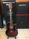 Custom made Lindo ORG-SL-RD Electro-acoustic guitar [April 24, 2017, 12:38 pm]