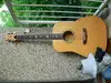 Marina Lotus-2 Acoustic guitar [July 21, 2017, 7:23 am]