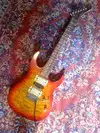 Richwood Limited Superstrat series Electric guitar [October 23, 2010, 8:05 pm]