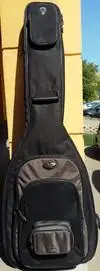 CNB  Bass guitar case [July 31, 2017, 4:24 pm]