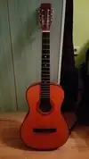 Cremona  Acoustic guitar [August 17, 2017, 1:39 am]