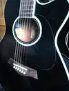 Uniwell  Electro-acoustic guitar [September 3, 2017, 8:14 am]