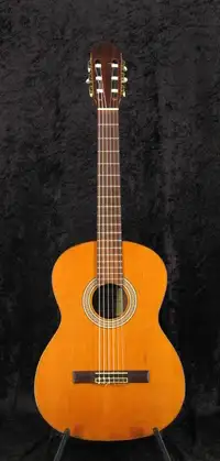 Strunal 975 Acoustic guitar [August 31, 2018, 1:22 pm]