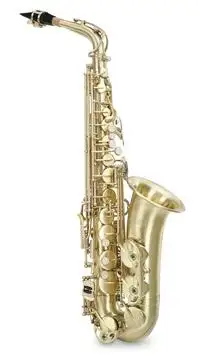 Classic Cantabile AS-450 Antique Brushed Alt Saxophone [January 23, 2024, 4:14 pm]
