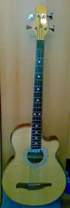 Guvnor GAB 555 CE Bass guitar [October 11, 2011, 11:15 pm]