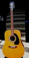 KLIRA 200 M Acoustic guitar [February 25, 2018, 12:56 pm]