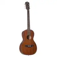 Jack and Danny Brothers AP-5 Parlor Acoustic guitar [January 23, 2024, 5:56 pm]