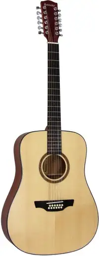 Ashbury GR52177 Guitarra acústica de 12 cuerdas [December 23, 2020, 4:26 pm]