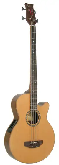Ashbury GR56047 Electro-acoustic bass guitar [September 1, 2019, 3:36 pm]