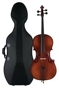 Classic Cantabile Brioso Cello [January 23, 2024, 5:36 pm]
