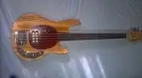 Dimavery MM-501 Fretless Bass guitar [October 21, 2018, 6:17 pm]