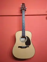 Guvnor GA100N Acoustic guitar [November 8, 2018, 6:59 pm]