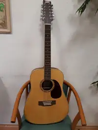 Ashton DM2512NT Acoustic guitar 12 strings [November 25, 2018, 4:48 pm]