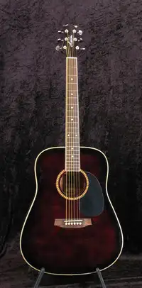 Ashton SPD25 Acoustic guitar [February 9, 2019, 4:48 pm]
