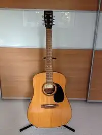 Encore W255 Acoustic guitar [December 29, 2018, 3:53 pm]