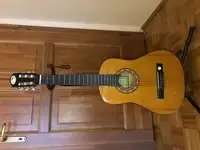 Tenson Classic 12 Acoustic guitar [December 30, 2018, 12:17 pm]