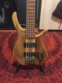 MLP  Bass guitar 5 strings [March 4, 2019, 5:21 pm]