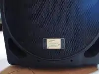 FAME PS 250 Aktív Fullrange Box vagy Monitor Active speaker [April 10, 2019, 11:31 am]
