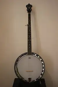 Richwood RMB-605 Banjo [March 26, 2019, 9:59 am]