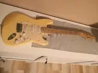 Richwood Stratocaster Electric guitar [April 10, 2019, 4:10 pm]