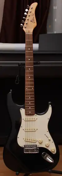 Golden Ton Stratocaster forma E-Gitarre [May 19, 2019, 8:27 pm]