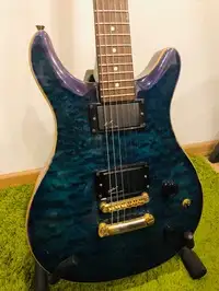 AcePro  Electric guitar [May 20, 2019, 1:09 pm]