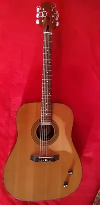 Melody 525 Acoustic guitar [August 1, 2019, 10:16 am]